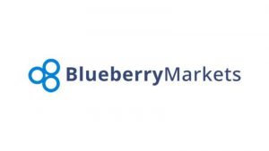 Lee más sobre el artículo BLUEBERRY MARKETS