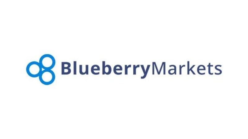 En este momento estás viendo BLUEBERRY MARKETS