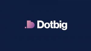 Lee más sobre el artículo DotBig