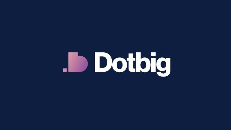 En este momento estás viendo DotBig