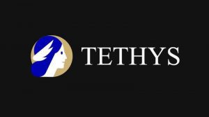 Lee más sobre el artículo Tethys Finance