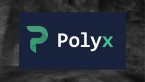 Lee más sobre el artículo Polyx