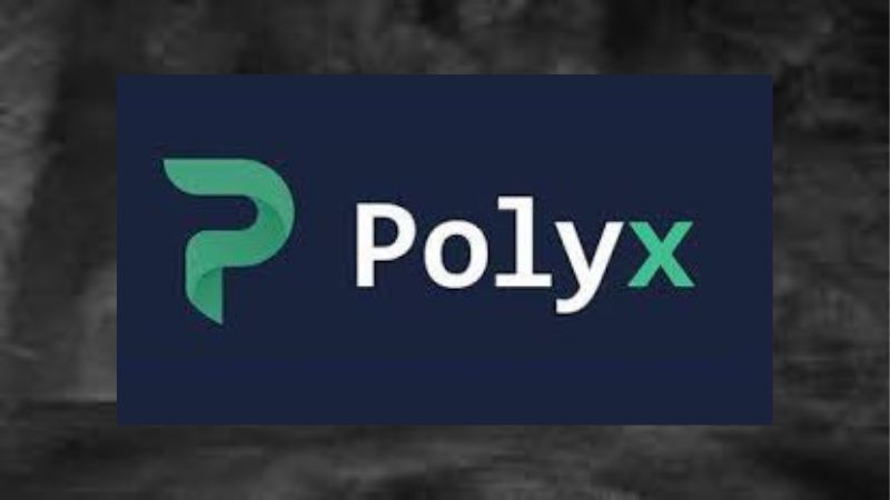 En este momento estás viendo Polyx