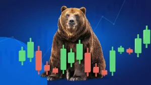 ¿Qué es un Bear Market? 2 Formas de invertir en un mercado bajista